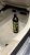SWAG ALL PURPOSE CLEANER (9).jpeg