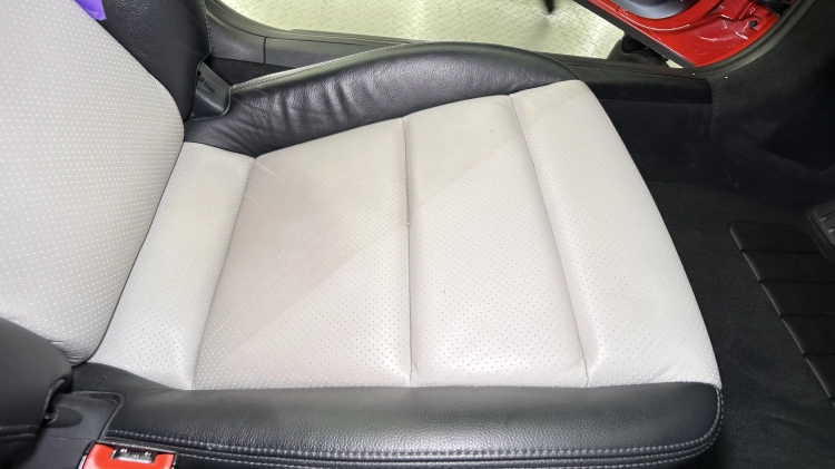 SWAG LEATHER CLEANER CONCENTRATED